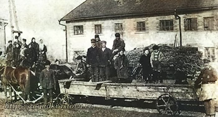 Одесские биндюжники 1910-х годов