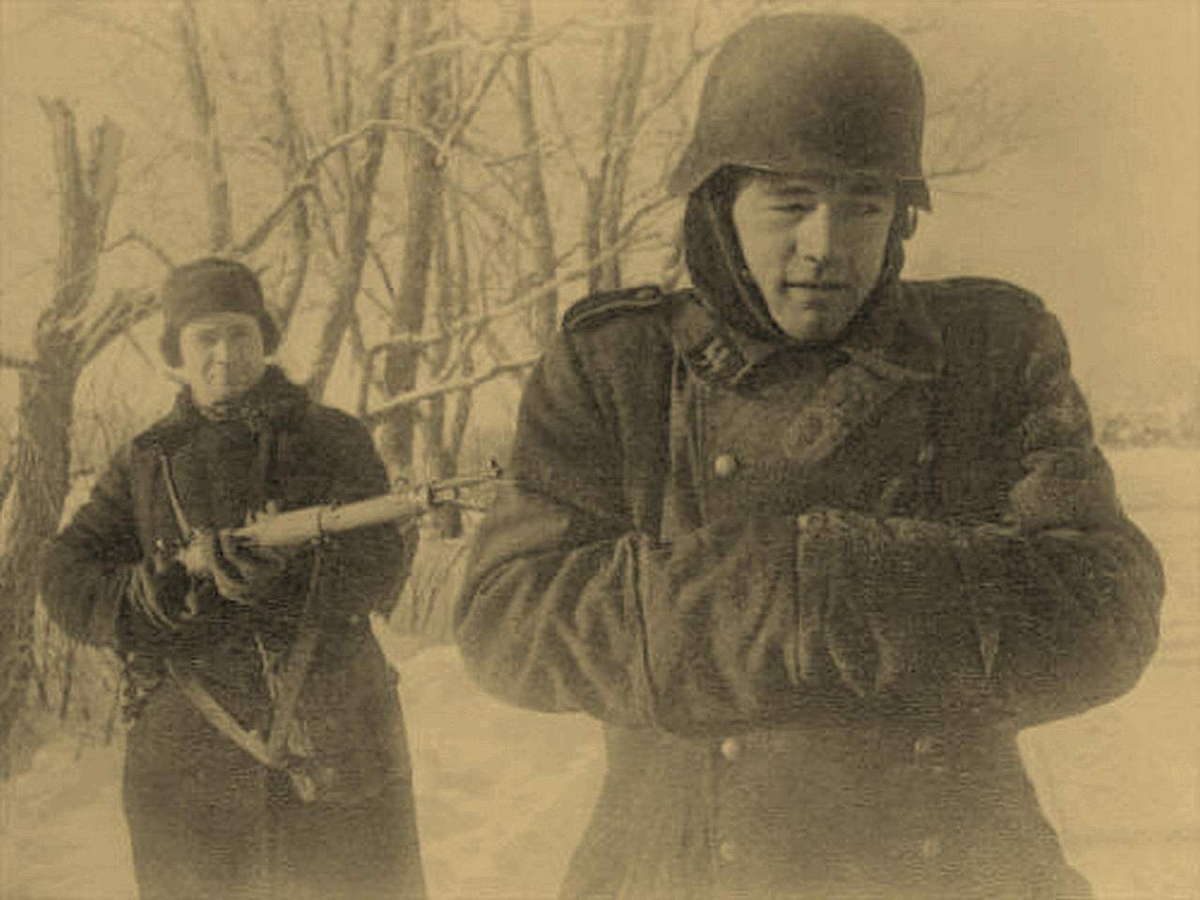 Почему советским солдатам во время Великой Отечественной войны не удавалось взять в плен? Ответы раскрываются в подробном рассказе.
