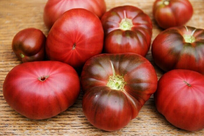 Ошибки при посадке томатов, которые снижают урожайность: удобрение "в лунку". Но кустик томата мощный, поздний, мелкий и треснутый.