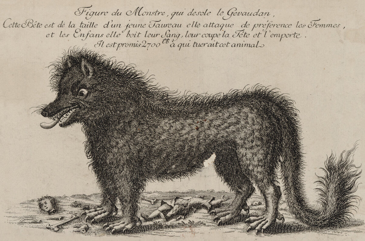 Тайна Жеводанского зверя: расследование о его настоящей природе и ужасах, которые он причинял французам в XVIII веке